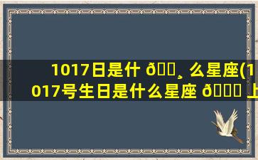 1017日是什 🌸 么星座(1017号生日是什么星座 🐘 上行星座)